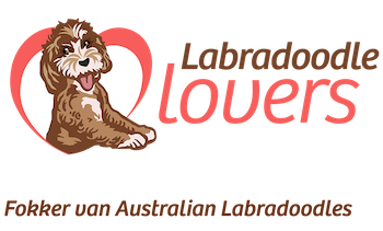 Logo Labradoodle Lovers